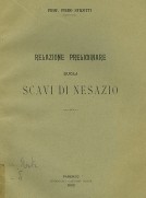 Relazione preliminare sugli scavi di Nesazio